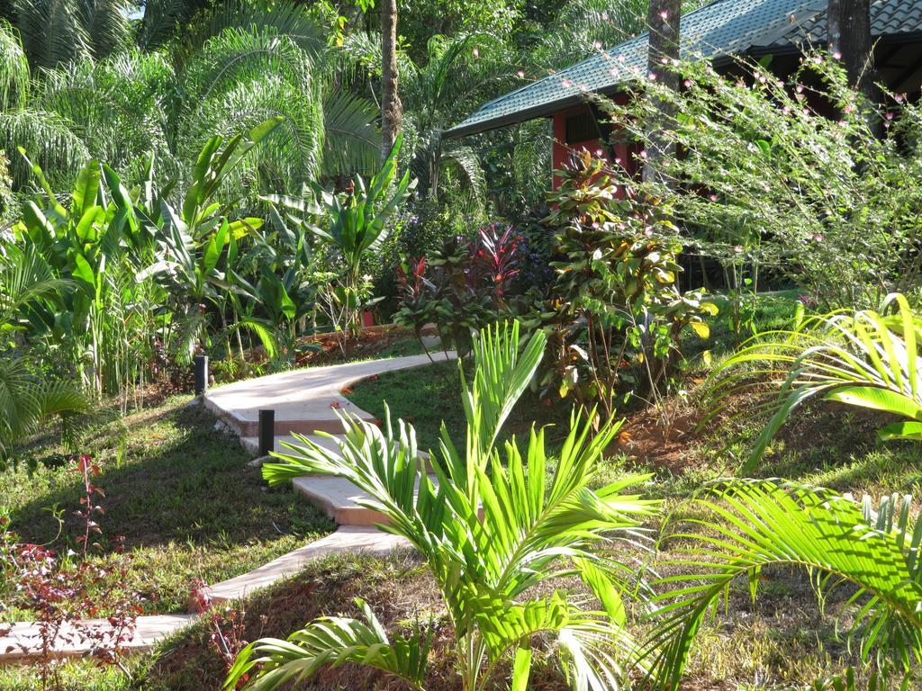 Oasis De Las Palmas 奥霍查尔 外观 照片