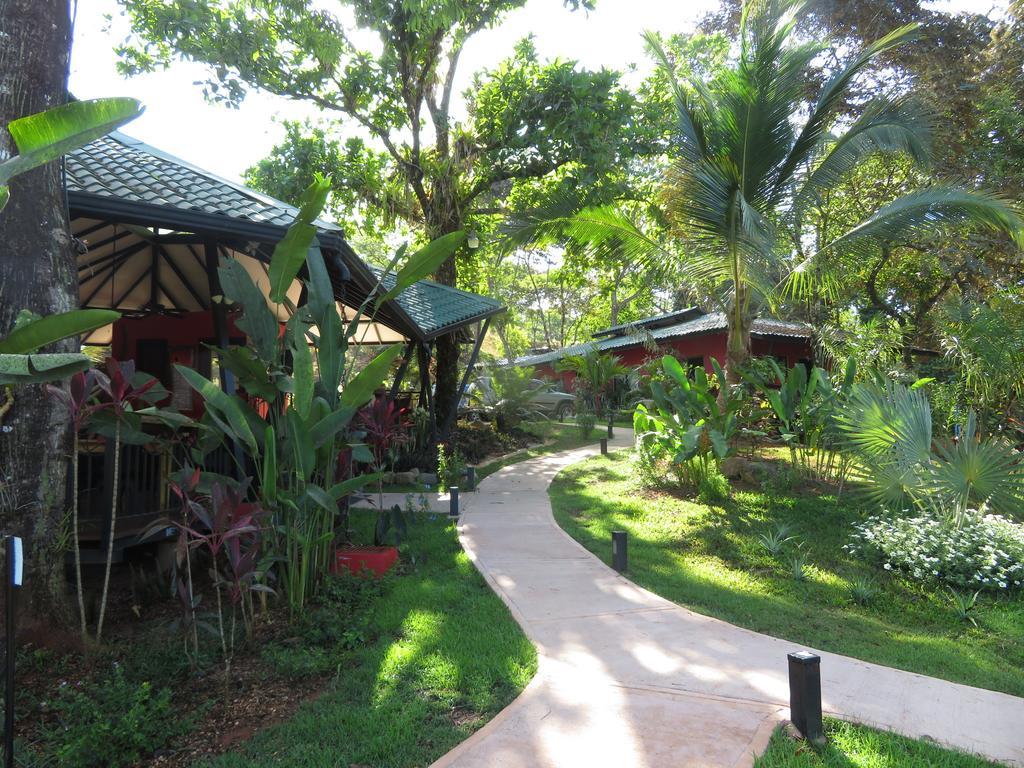 Oasis De Las Palmas 奥霍查尔 外观 照片