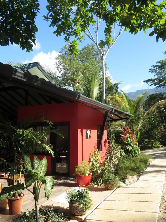 Oasis De Las Palmas 奥霍查尔 外观 照片