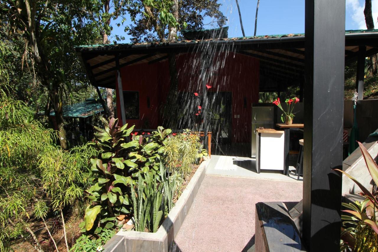 Oasis De Las Palmas 奥霍查尔 外观 照片